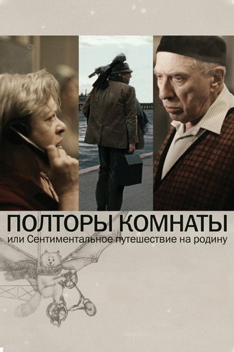 A Room and a Half movie poster