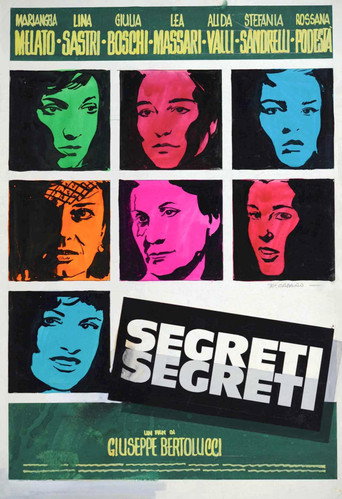 Secrets Secrets movie poster