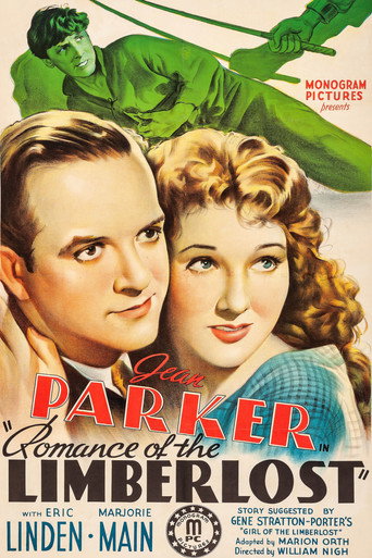 Romance of the Limberlost movie poster
