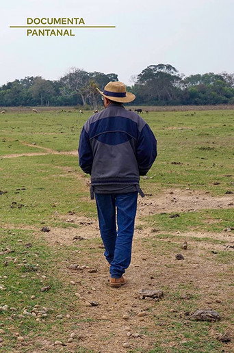 Ruivaldo, O Homem que Salvou a Terra movie poster