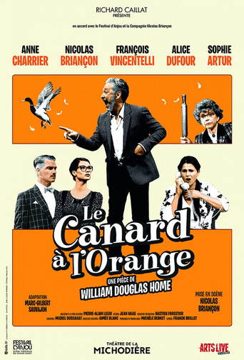 The Secretary Bird movie poster