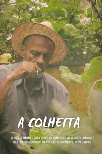A Colheita movie poster