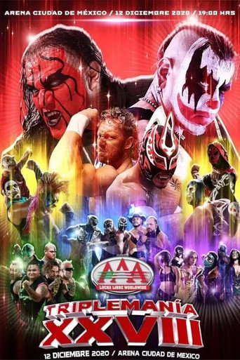 AAA Triplemania XXVIII movie poster