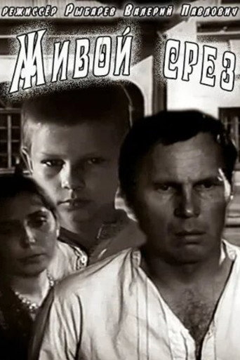 Living Slice movie poster