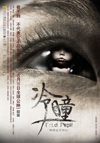 Cold Pupil movie poster