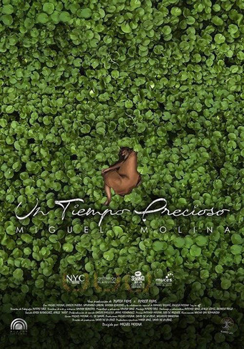 Un tiempo precioso movie poster