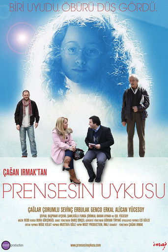 Sleeping Princess movie poster