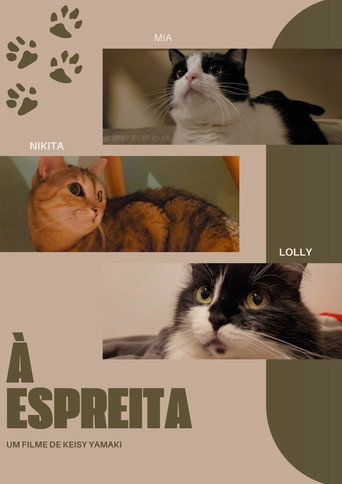 À Espreita movie poster
