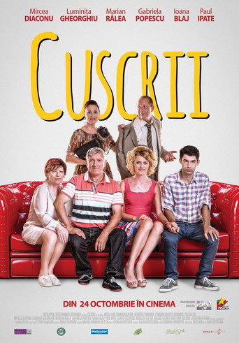 In-laws movie poster