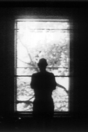 Window movie poster