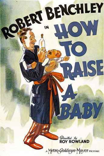 How to Raise a Baby movie poster