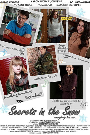 Secrets in the Snow movie poster