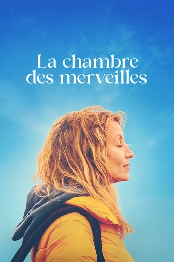 The Book of Wonders movie poster