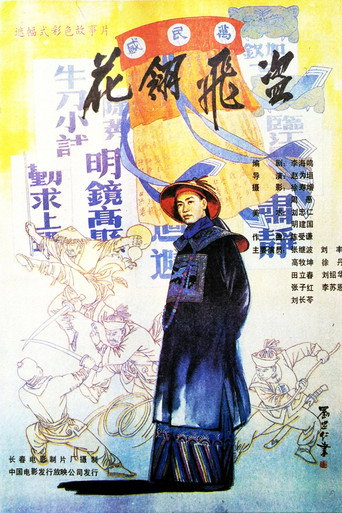 花翎飞盗 movie poster