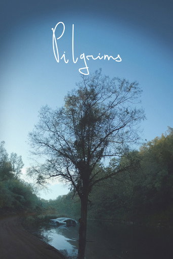 Pilgrims movie poster
