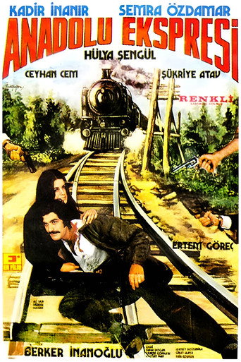Anadolu Ekspresi movie poster