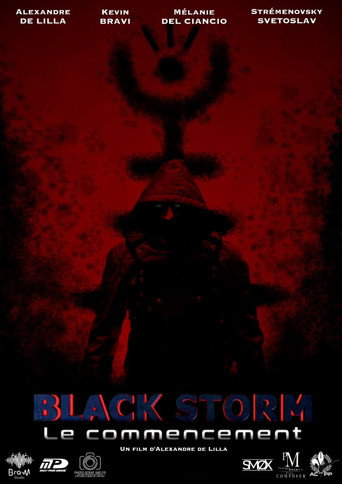 Black Storm : Le commencement movie poster