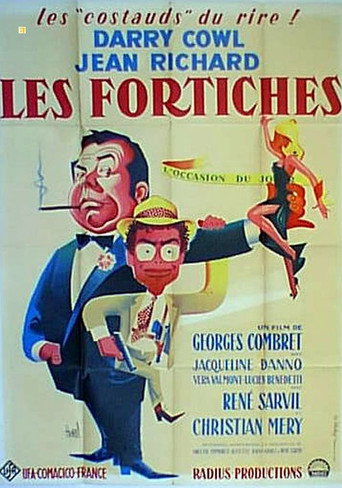 Les fortiches movie poster