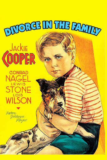 Divorce In The Family movie poster