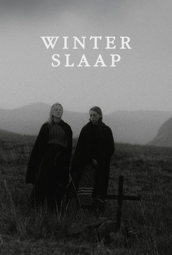 Hibernation movie poster