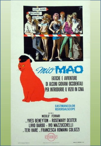 Mio Mao: Fatiche ed avventure di alcuni giovani occidentali per introdurre il vizio in Cina movie poster