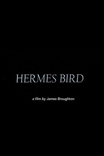 Hermes Bird movie poster