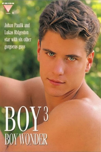 Boy 3: Boy Wonder movie poster