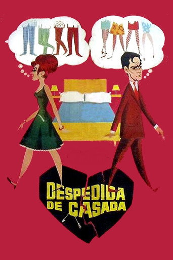Despedida de casada movie poster