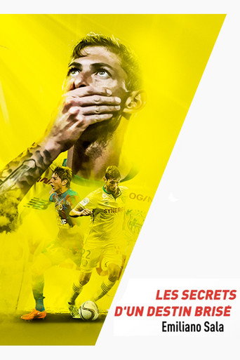 Emiliano Sala, les secrets d'un destin brisé movie poster