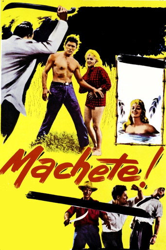 Machete movie poster