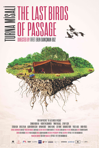 The Last Birds of Passage movie poster