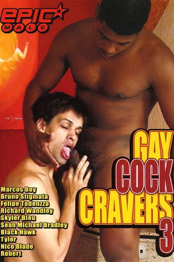 Gay Cock Cravers 3 movie poster