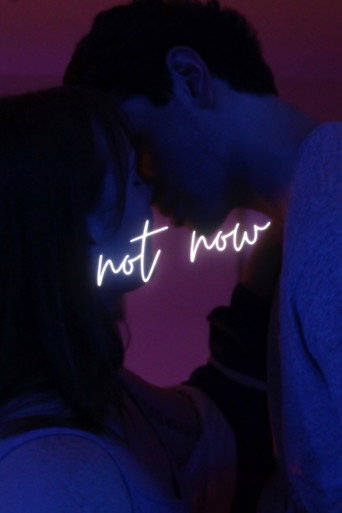 Not Now movie poster