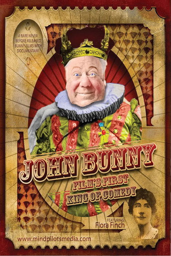 Mr. Bunny in Disguise movie poster