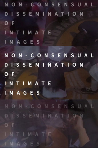 Non-consensual Dissemination of Intimate Images movie poster