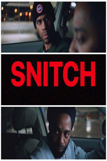 Snitch movie poster