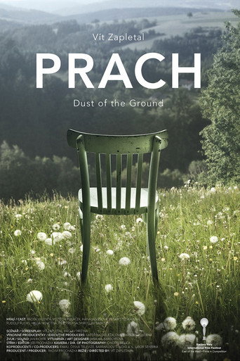 Dust of the Ground movie poster