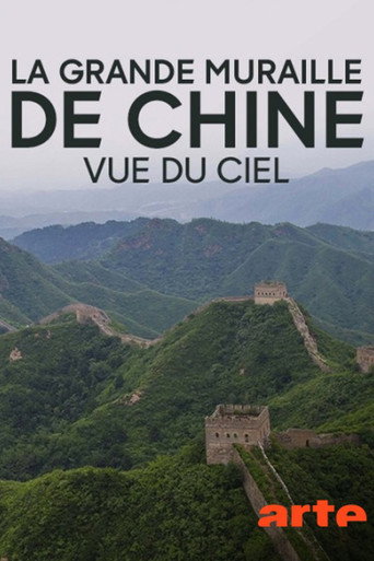 Flying the Great Wall movie poster