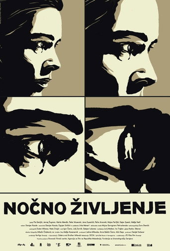 Nightlife movie poster
