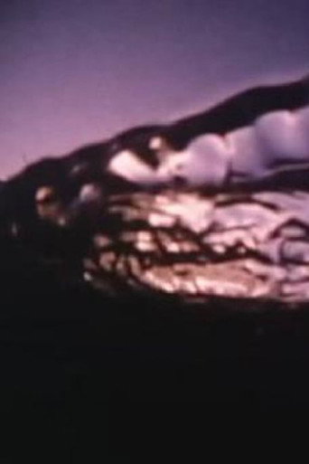 Echoes movie poster