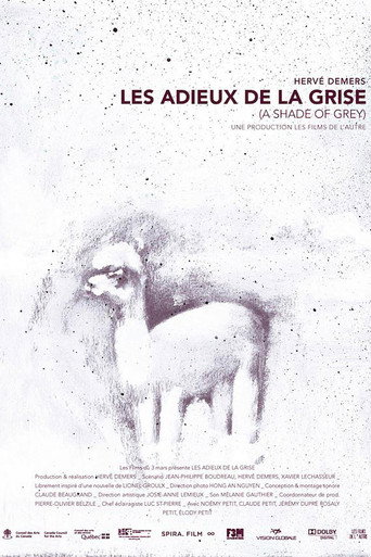 A Shade of Grey movie poster