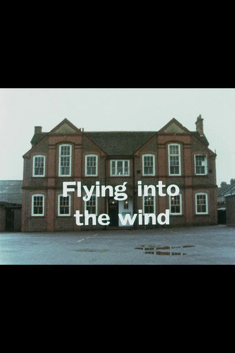Flying Into the Wind movie poster