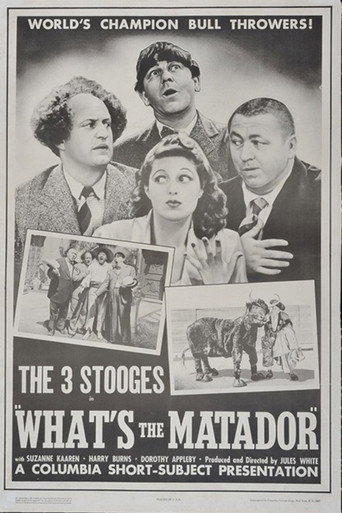 What's the Matador? movie poster