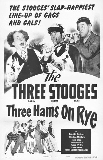 Three Hams on Rye movie poster