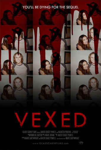 Vexed movie poster