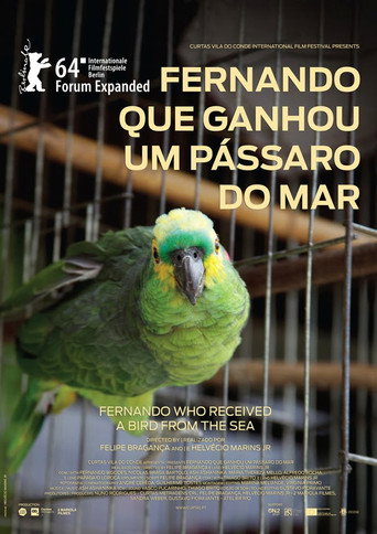 Fernando Who Received a Bird from the Sea movie poster