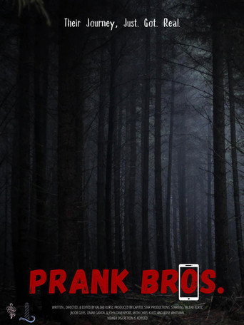 Prank Bros movie poster