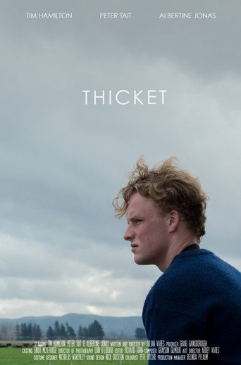 Thicket movie poster