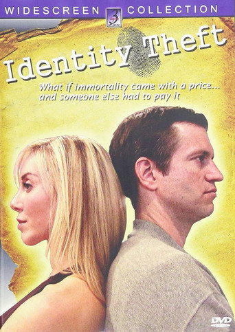 Identity Theft movie poster