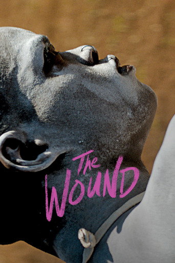 The Wound movie poster